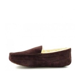 UGG Mens Ascot Chocolate