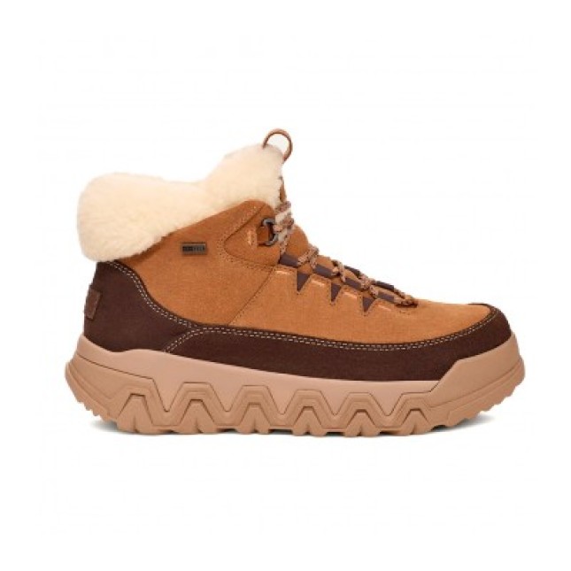 UGG TerreTrail Cozy Lace Boot Chestnut