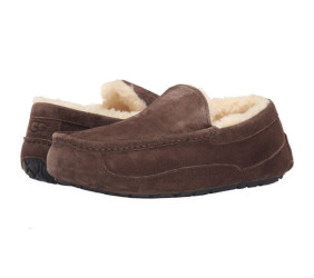 UGG Mens Ascot Chocolate