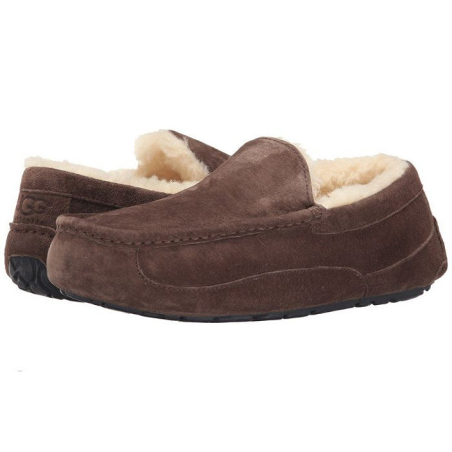 UGG Mens Ascot Chocolate