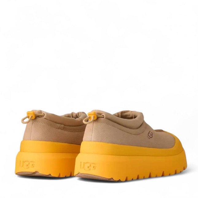 UGG Tasman Hybrid Mustard Seed / Summer Wheat