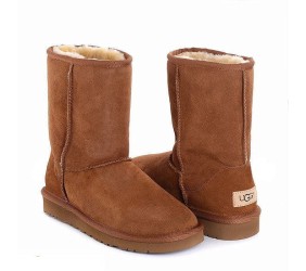 UGG Mens  Classic Short II Chestnut