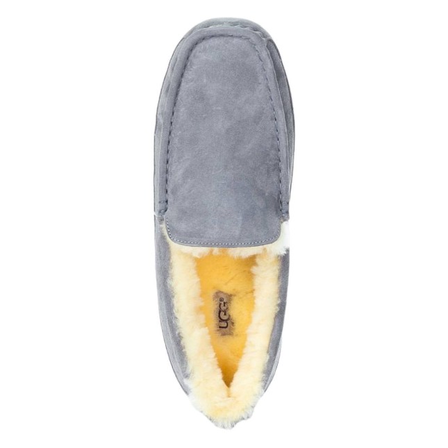 UGG Mens Ascot Grey