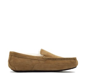 UGG Mens Ascot Chestnut UGG Mens Ascot Chestnut
